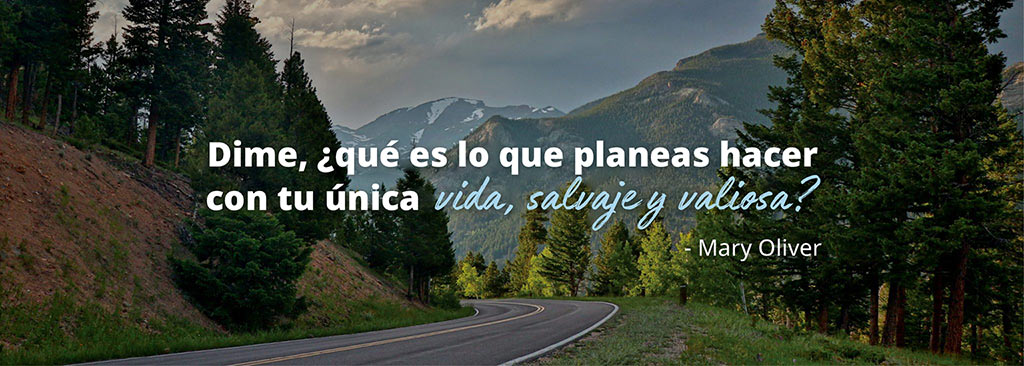 Esta Vida Salvaje